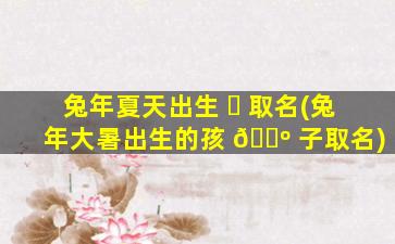 兔年夏天出生 ☘ 取名(兔年大暑出生的孩 🌺 子取名)